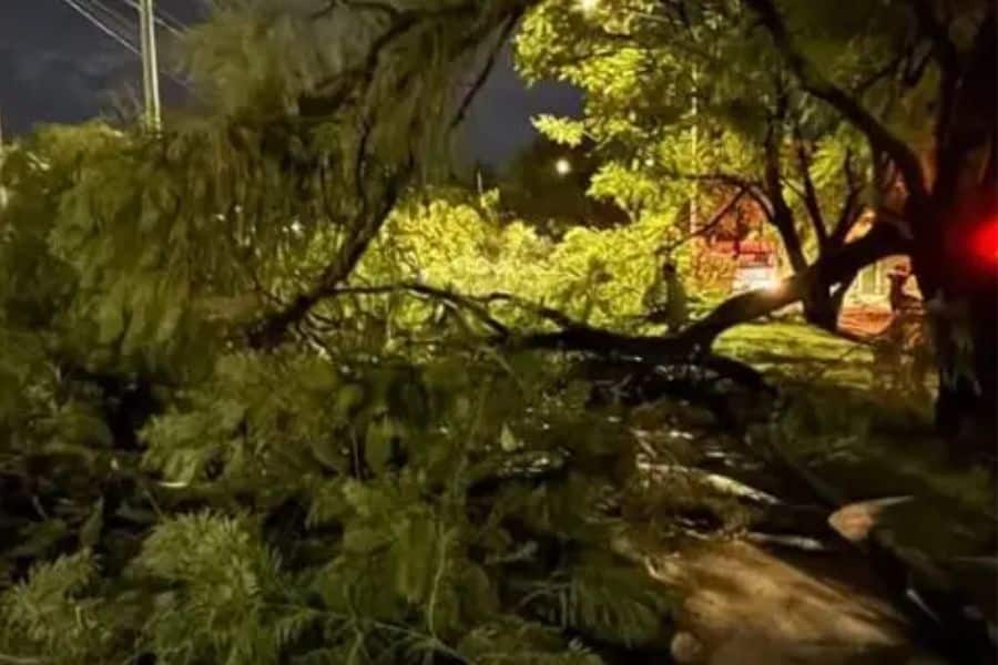 Fuerte temporal en Nogoyá