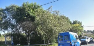 Robo en Colonia Avellaneda.