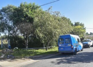 Robo en Colonia Avellaneda.