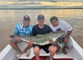 Hazaña en el río Paraná, en Corrientes