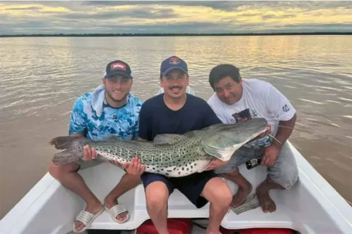 Hazaña en el río Paraná, en Corrientes