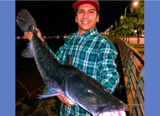 Capturan un surubí de 12 kilos en el río Paraná. Foto: (Redes).