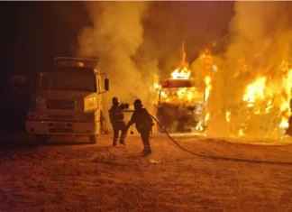 Incendio de camiones sobre la ruta 42. Foto: Bomberos Voluntarios de Concepción del Uruguay.