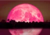 Luna de fresa. Foto: Infobae.