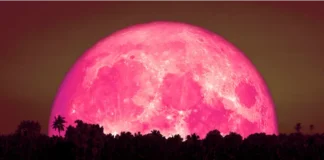Luna de fresa. Foto: Infobae.
