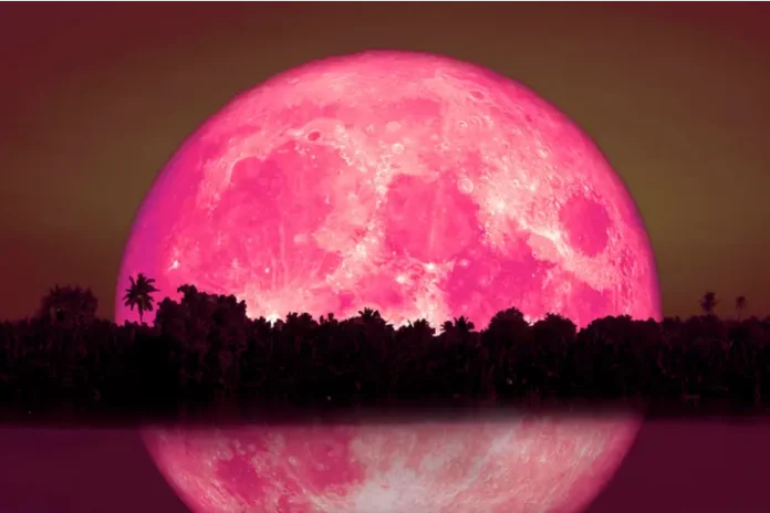Luna de fresa. Foto: Infobae. Luna de fresa. Foto: Infobae.