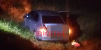 Un automovilista terminó en una zanja tras intentar esquivar un animal.