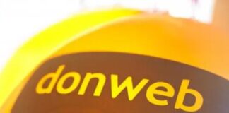 DonWeb.