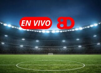 DEPORTES - Partido en vivo.