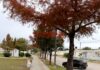 Fuerte frío en Colonia Avellaneda. Foto: Elochodigital.