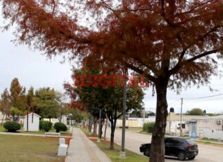Fuerte frío en Colonia Avellaneda. Foto: Elochodigital.