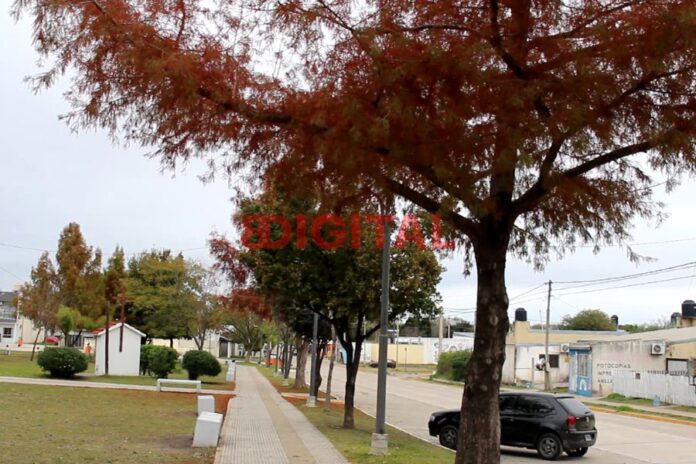 Fuerte frío en Colonia Avellaneda. Foto: Elochodigital.