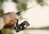 La pesca deportiva entrerriana presentó su calendario de fiestas y torneos para 2026 y 2027 Pesca deportiva en Entre Ríos. Foto: Istockphoto.