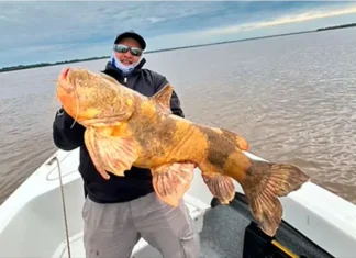 En una zona natural entre Corrientes, Entre Ríos y Santa Fe.