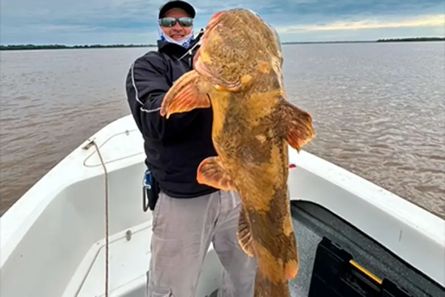 En una zona natural entre Corrientes, Entre Ríos y Santa Fe.