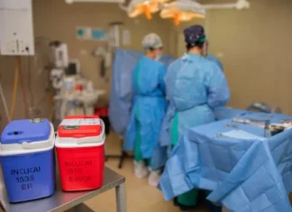 Argentina alcanzó un récord histórico de donación de órganos: hubo 109 donantes en mayo Nuevo récord mensual de donantes de órganos