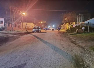 Detuvieron a una joven de 21 años por el homicidio.