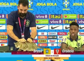 El jefe de prensa de Brasil “tira” un gato durante una conferencia de Vinicius en 2022.