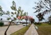 Pronóstico para Entre Ríos: abundante nubosidad, poco sol y temperaturas en ascenso durante la semana El tiempo en Colonia Avellaneda. Foto: Elochodigital.