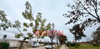Pronóstico para Entre Ríos: abundante nubosidad, poco sol y temperaturas en ascenso durante la semana El tiempo en Colonia Avellaneda. Foto: Elochodigital.
