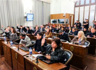 El senado aprobó la Reforma Previsional. Foto: (SER).