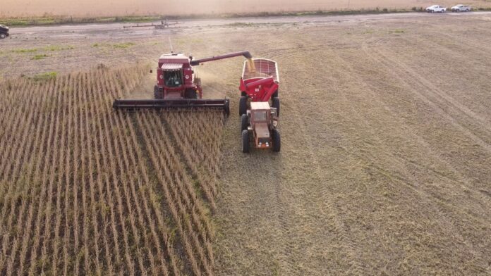 Campo Campo