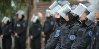 Fuerzas Federales