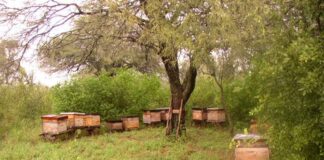 Entre Ríos participa de la agenda nacional para el desarrollo de la producción orgánica