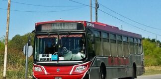 Linea 17 AM