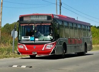 Linea 17 AM