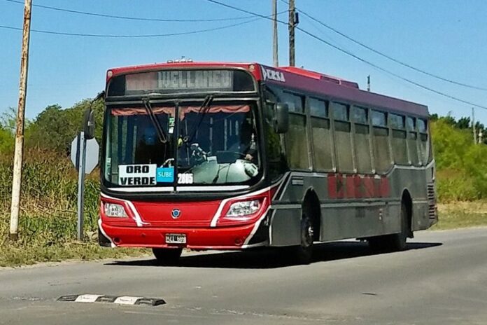 Linea 17 AM Linea 17 AM