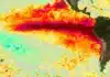 El Niño podría alcanzar una intensidad “muy fuerte” antes de fin de 2026 y extenderse hasta 2 El Niño