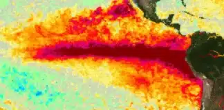 El Niño podría alcanzar una intensidad “muy fuerte” antes de fin de 2026 y extenderse hasta 2 El Niño