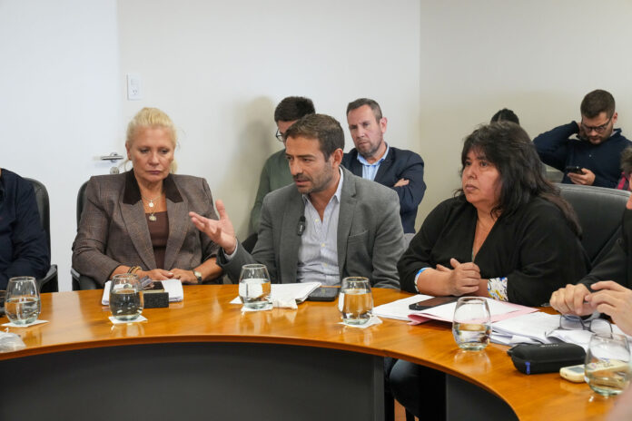 Blanzaco expuso ante el Senado.