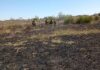 Entre Ríos desplegó un operativo de monitoreo y control por incendios forestales en el ejido de Victoria Entre Ríos desplegó un operativo de monitoreo y control por incendios forestales en el ejido de Victoria