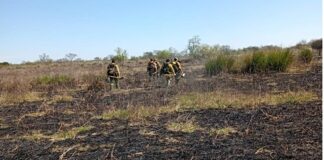 Entre Ríos desplegó un operativo de monitoreo y control por incendios forestales en el ejido de Victoria