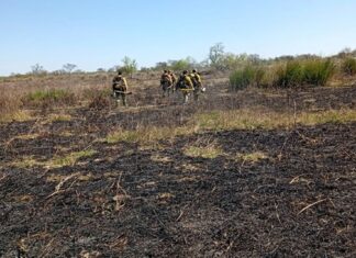Entre Ríos desplegó un operativo de monitoreo y control por incendios forestales en el ejido de Victoria
