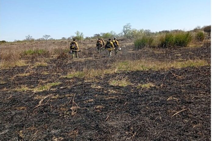 Entre Ríos desplegó un operativo de monitoreo y control por incendios forestales en el ejido de Victoria Entre Ríos desplegó un operativo de monitoreo y control por incendios forestales en el ejido de Victoria