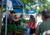 Feria en tu Barrio.
