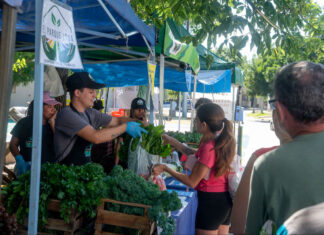 Feria en tu Barrio llega esta semana a tres puntos de Paraná: días, horarios y ubicaciones Feria en tu Barrio.