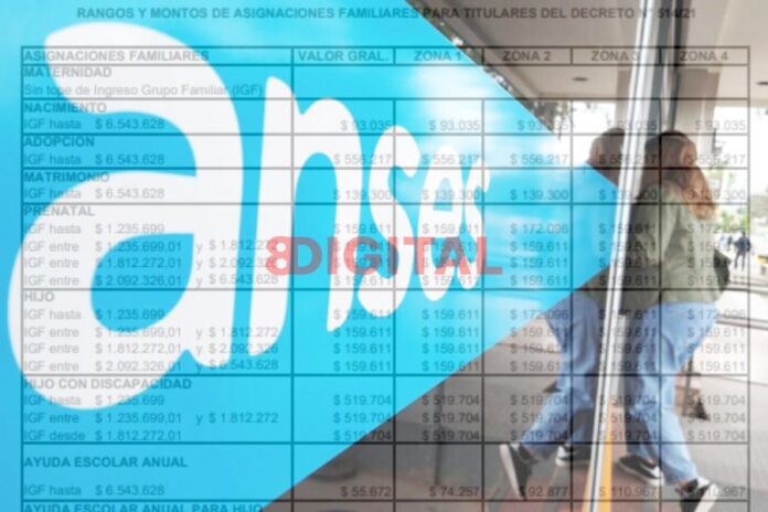 Aumento Anses.