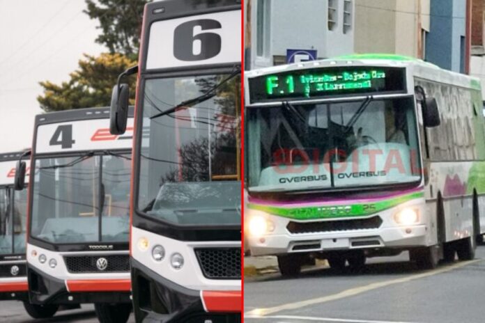 Colectivos en Paraná.