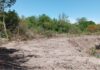 Denuncian un brutal desmonte en Laguna Verde, en Colonia Avellaneda. Foto: ERA Verde.