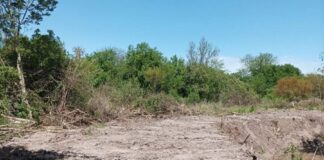 Denuncian un brutal desmonte en Laguna Verde, en Colonia Avellaneda. Foto: ERA Verde.