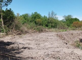Denuncian un brutal desmonte en Laguna Verde, en Colonia Avellaneda. Foto: ERA Verde.