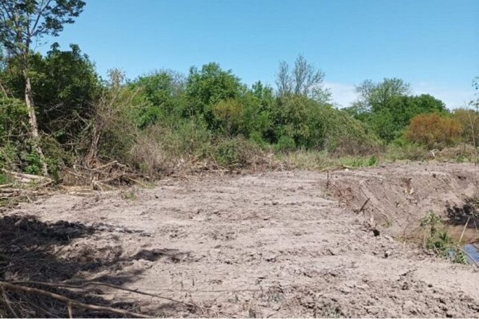Denuncian un brutal desmonte en Laguna Verde, en Colonia Avellaneda. Foto: ERA Verde.