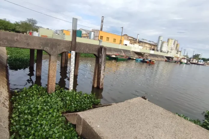 El río en Victoria