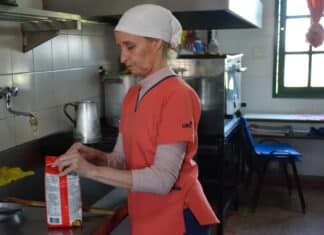 Trabajadores suplentes de comedores escolares.