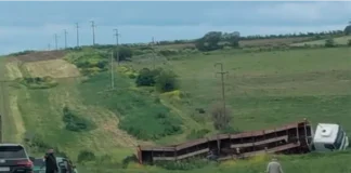 Un camión que transportaba vacunos despistó en la ruta 131, cerca de Diamante. Foto: (El Observador del Litoral)