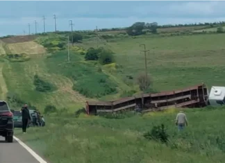 Un camión que transportaba vacunos despistó en la ruta 131, cerca de Diamante. Foto: (El Observador del Litoral)